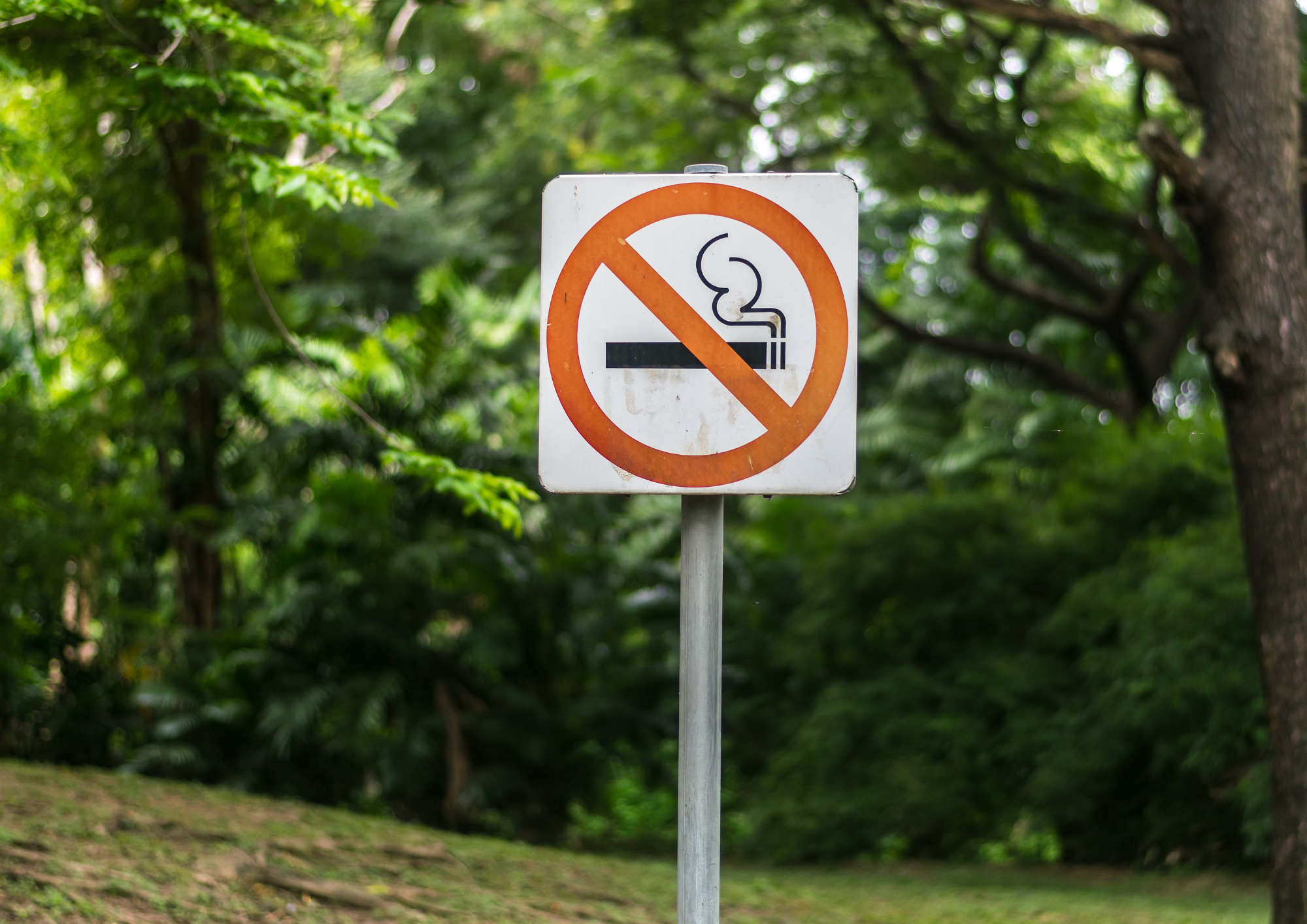 HUT ke-498, Jakarta Dituntut Segera Sahkan Raperda KTR yang Mandek 10 Tahun